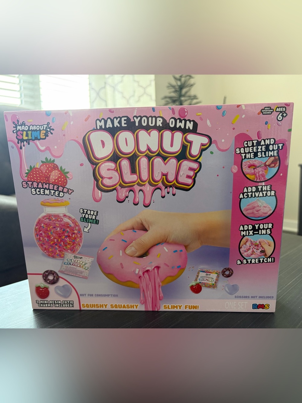 RMS “Mad About Slime” Make Your Own Donut Slime Kit